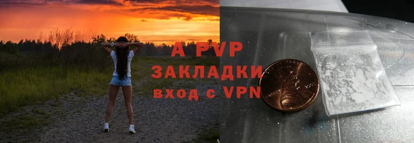 стафф Алексин