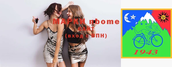 стаф Алзамай