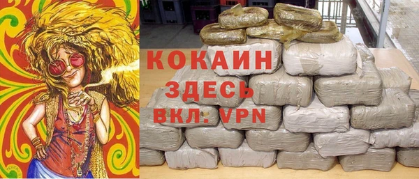 стаф Алзамай
