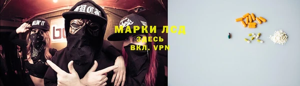 стаф Алзамай