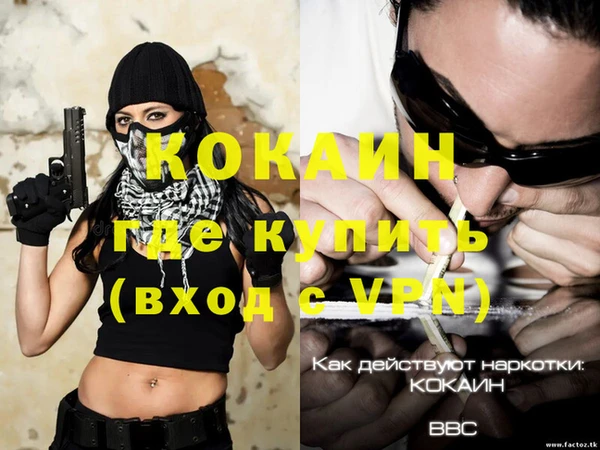стафф Алексин