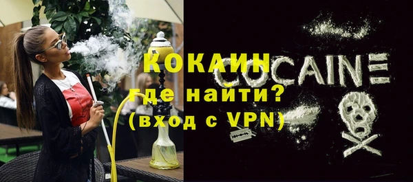 стаф Алзамай