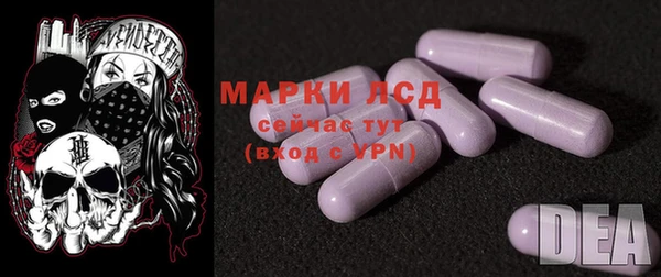 стаф Алзамай
